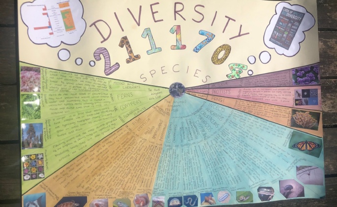 Latest News » Poster competition success!